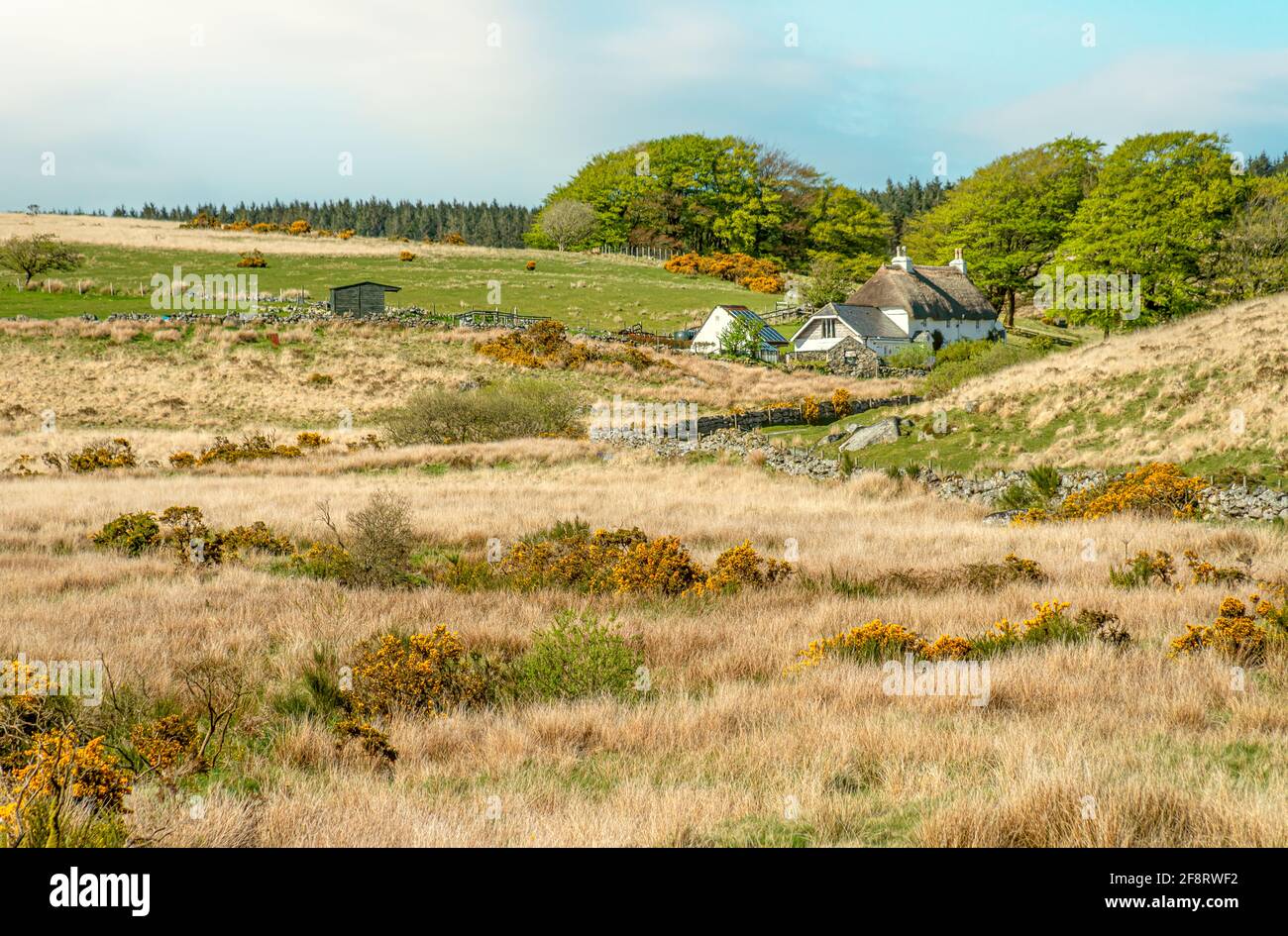 Remote farm cottage at the Dartmoor National Park, Devon, England, UK Stock Photo