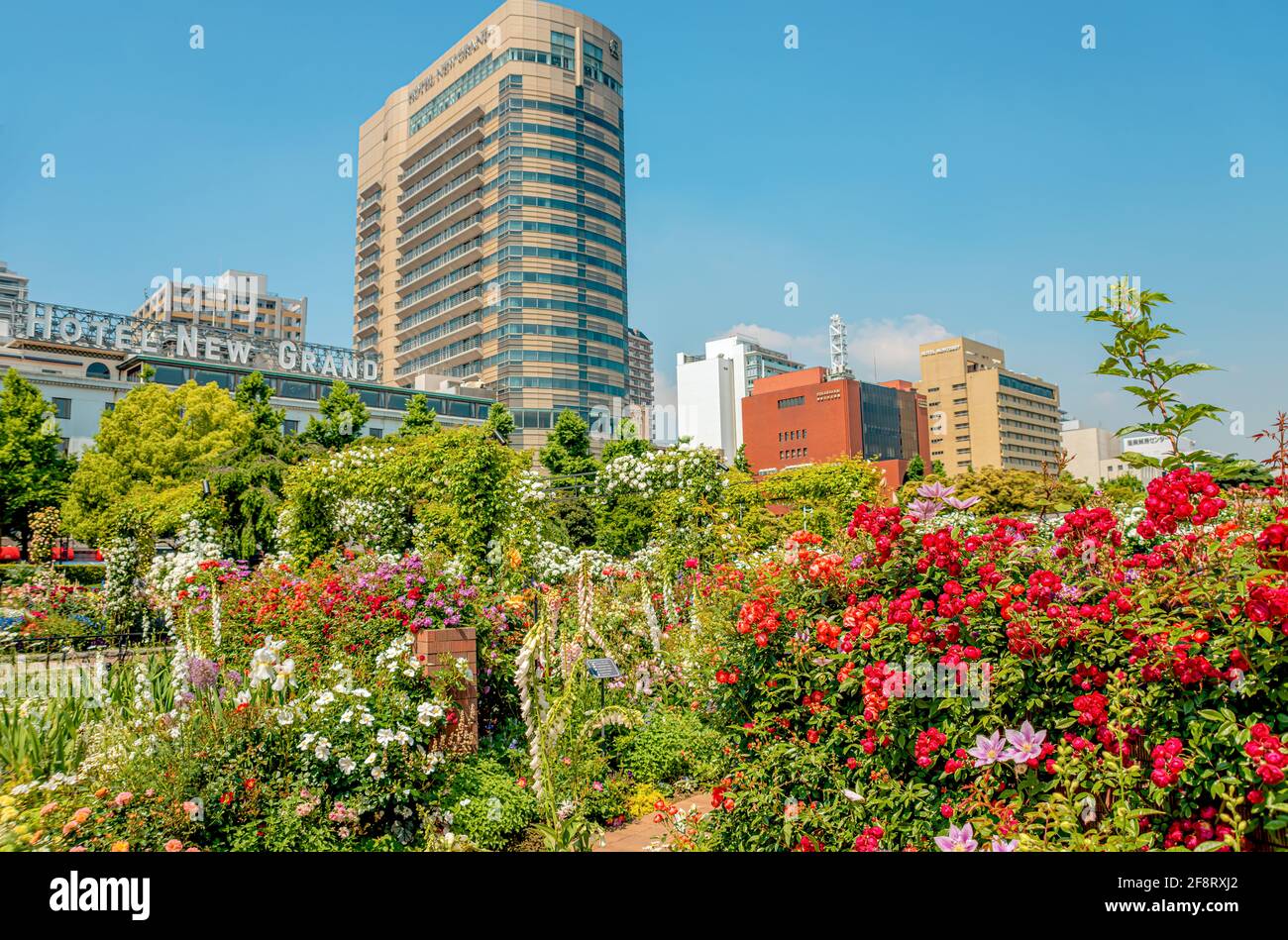 Three Rose Garden at Yamashita Park at the Yokohama waterfront, Kanagawa, Japan Stock Photo