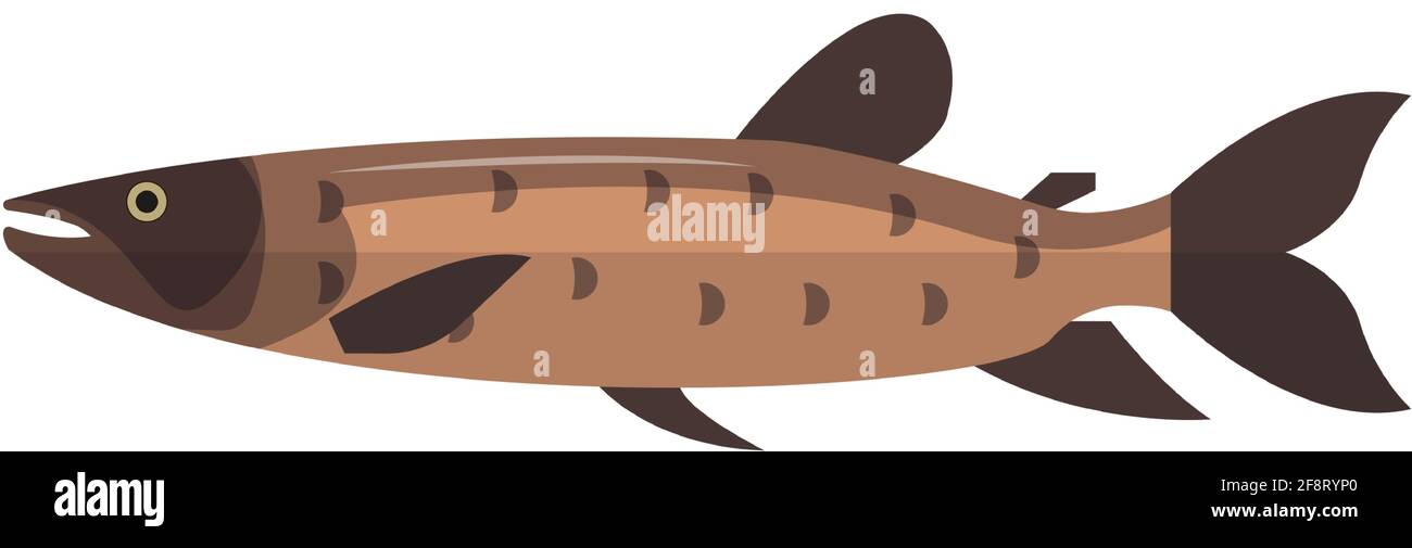 Vector african pike freshwater fish species illustration Stock Vector
