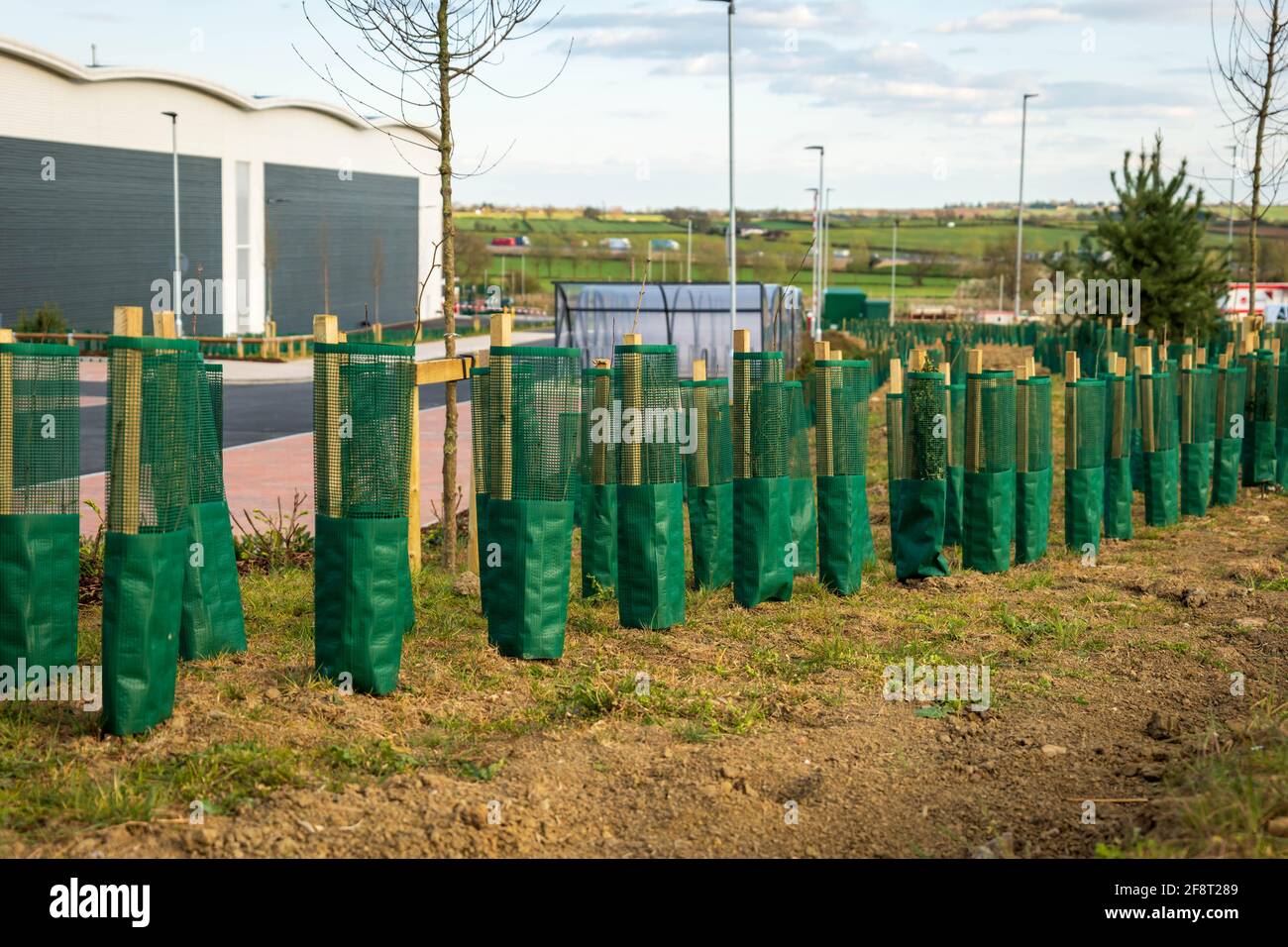 new trees over industrial distribution warehouse in england uk Stock ...