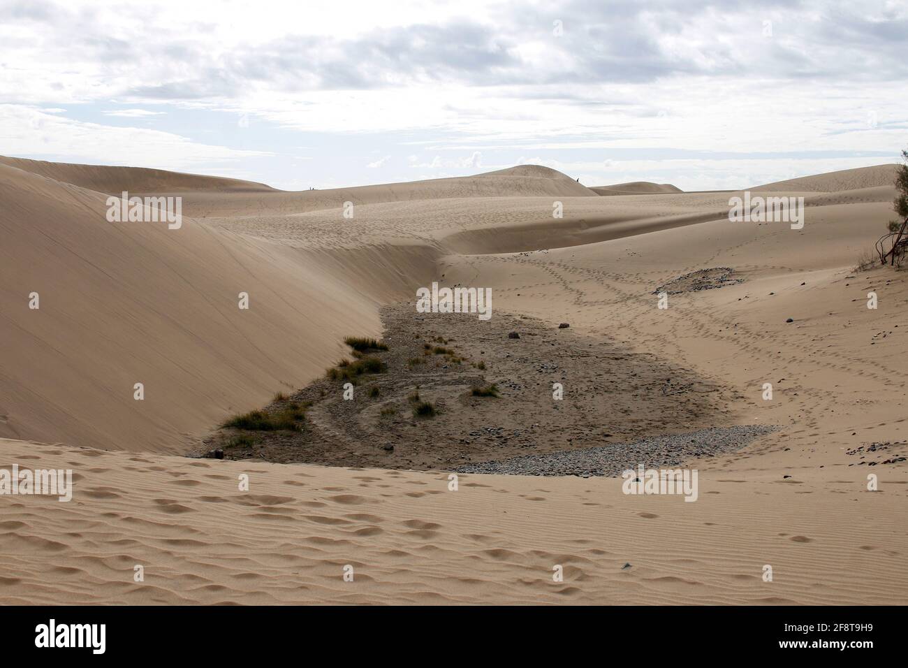 Impressionen: Duenen von Maspalomas/ Playa del Ingles, Gran Canaria, Kanarische Inseln, Spanien/ impressions: dunes of Maspalomas/ Playa del Ingles, G Stock Photo