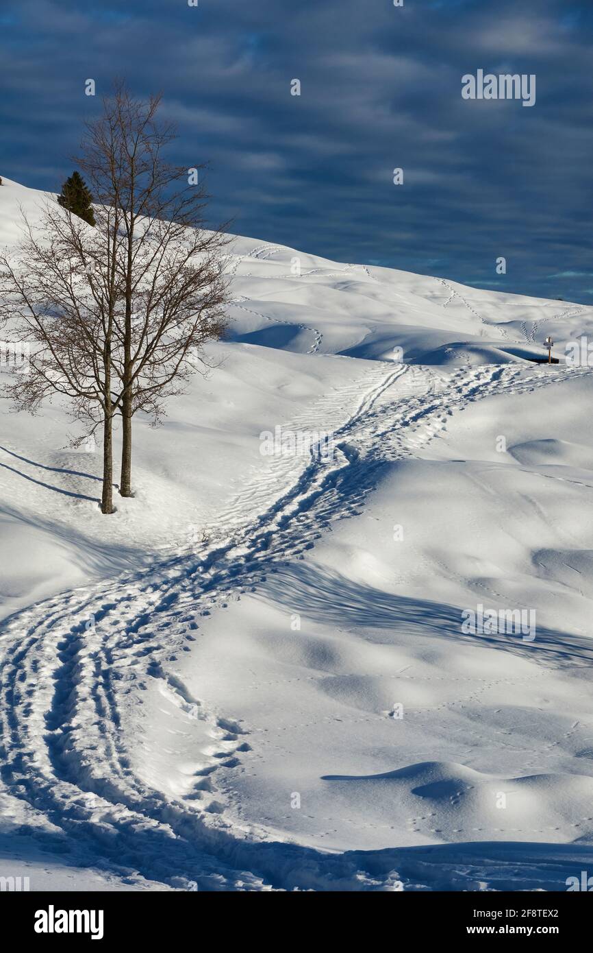 Snow landscape footprints blue hi-res stock photography and images - Alamy