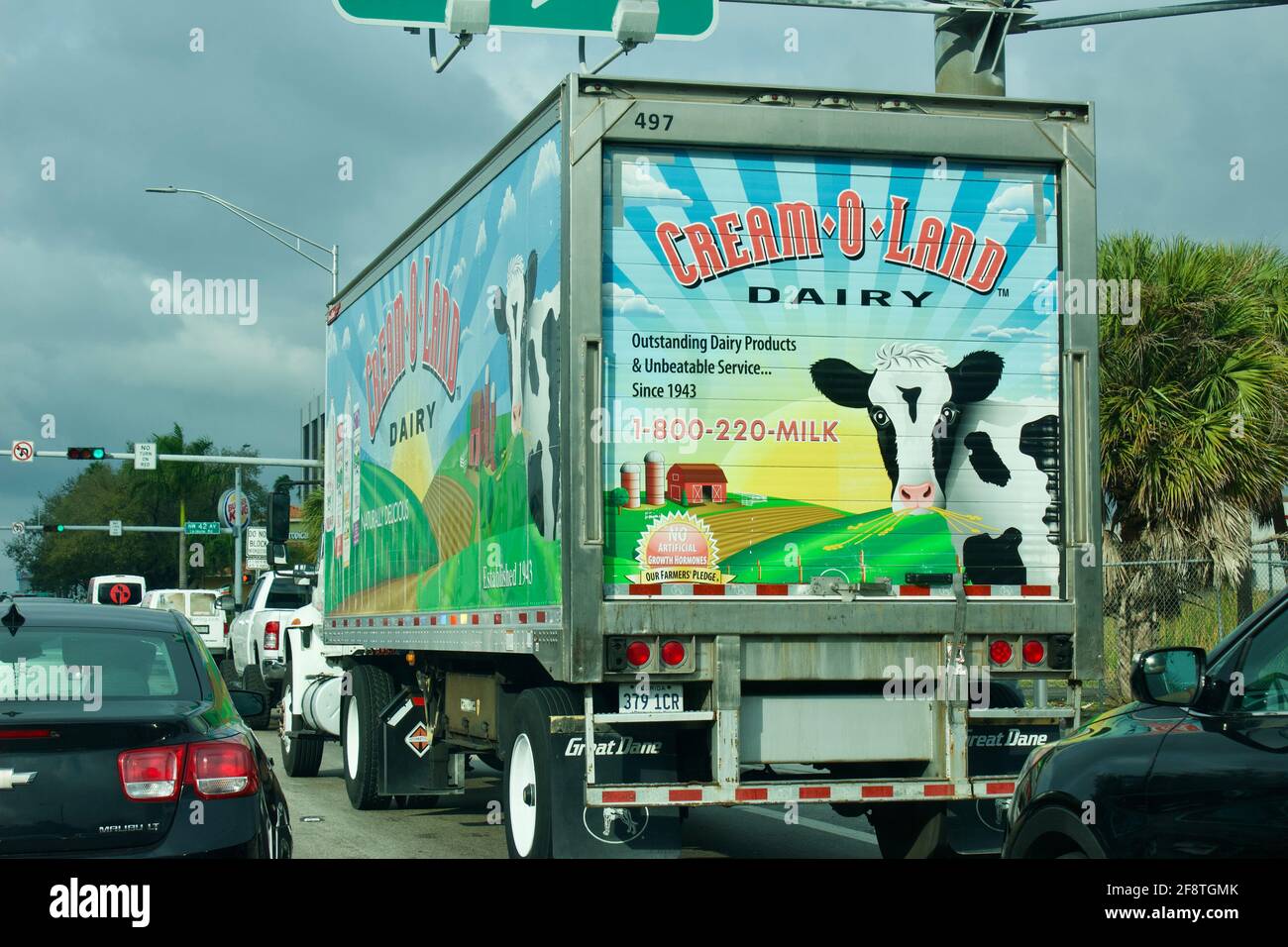 Cream-O-Land Dairy refrigerated tractor trailer with colorful logo wrap in traffic. 1/28/2021 Miami FL Stock Photo