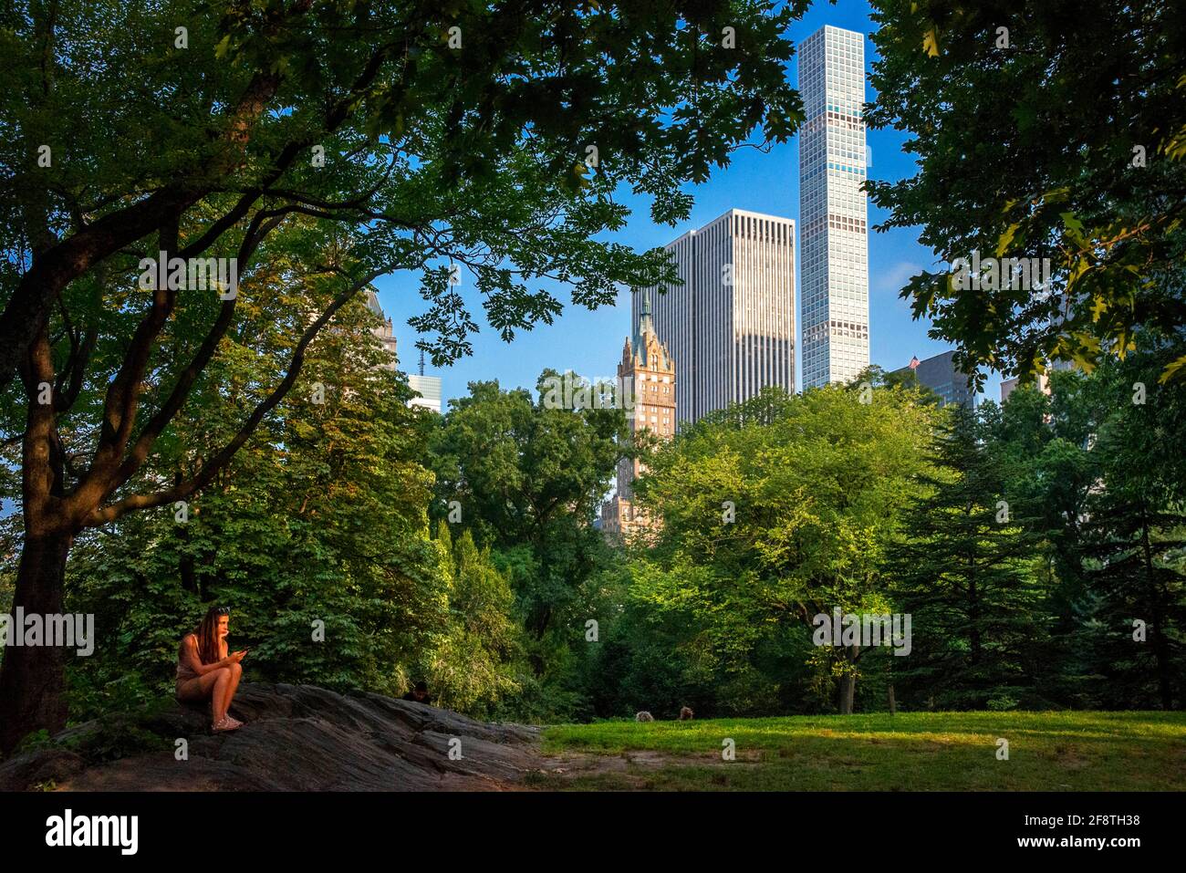 Attractive woman eyeing her mobile phone in Central Park, Manhattan New York, NY, USA. The Majestic building Super-tall, super-skinny, super-expensive Stock Photo