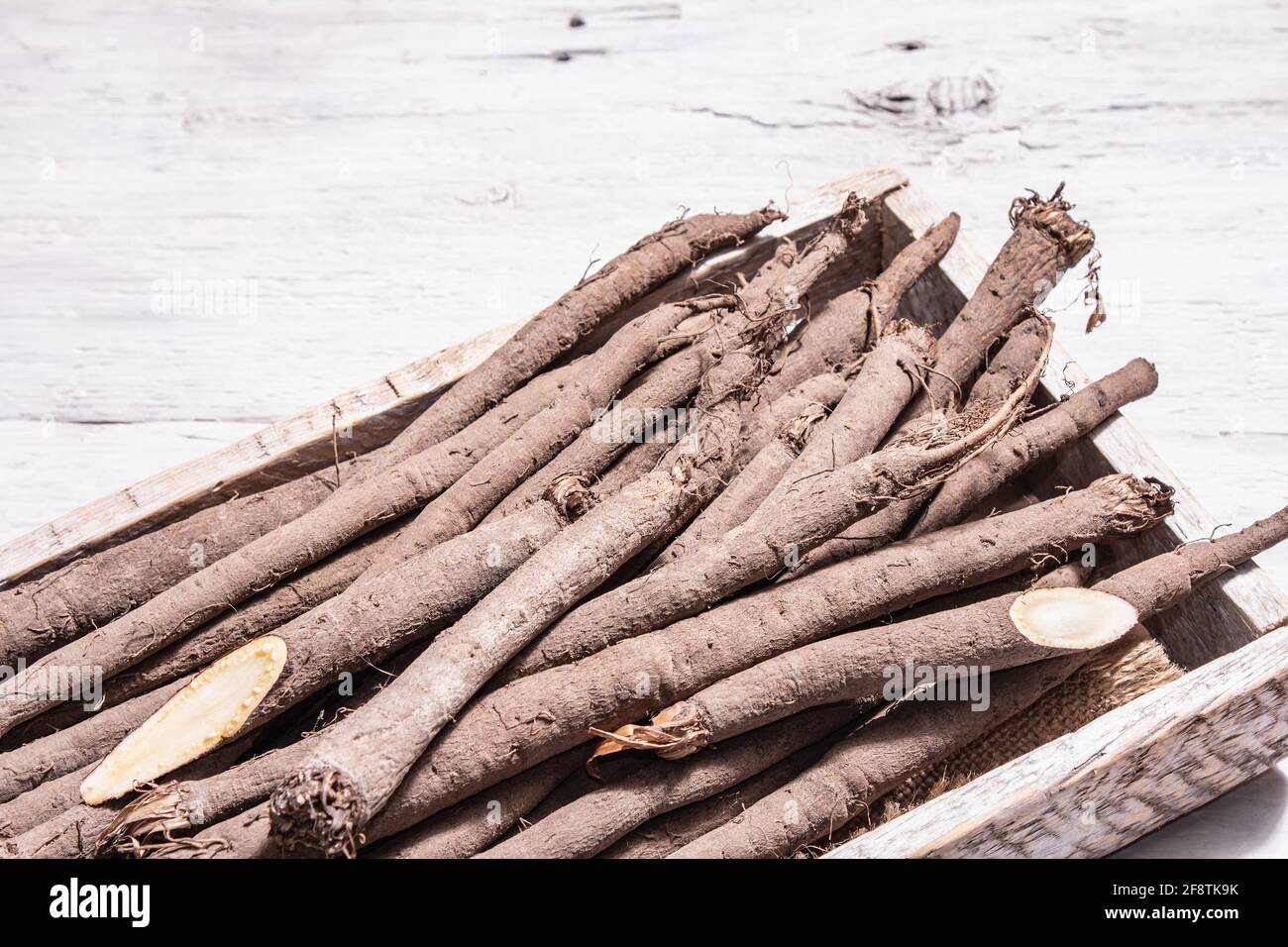 Bunch of raw Scorzonera or Spanish salsify. Modern vegetables, healthy