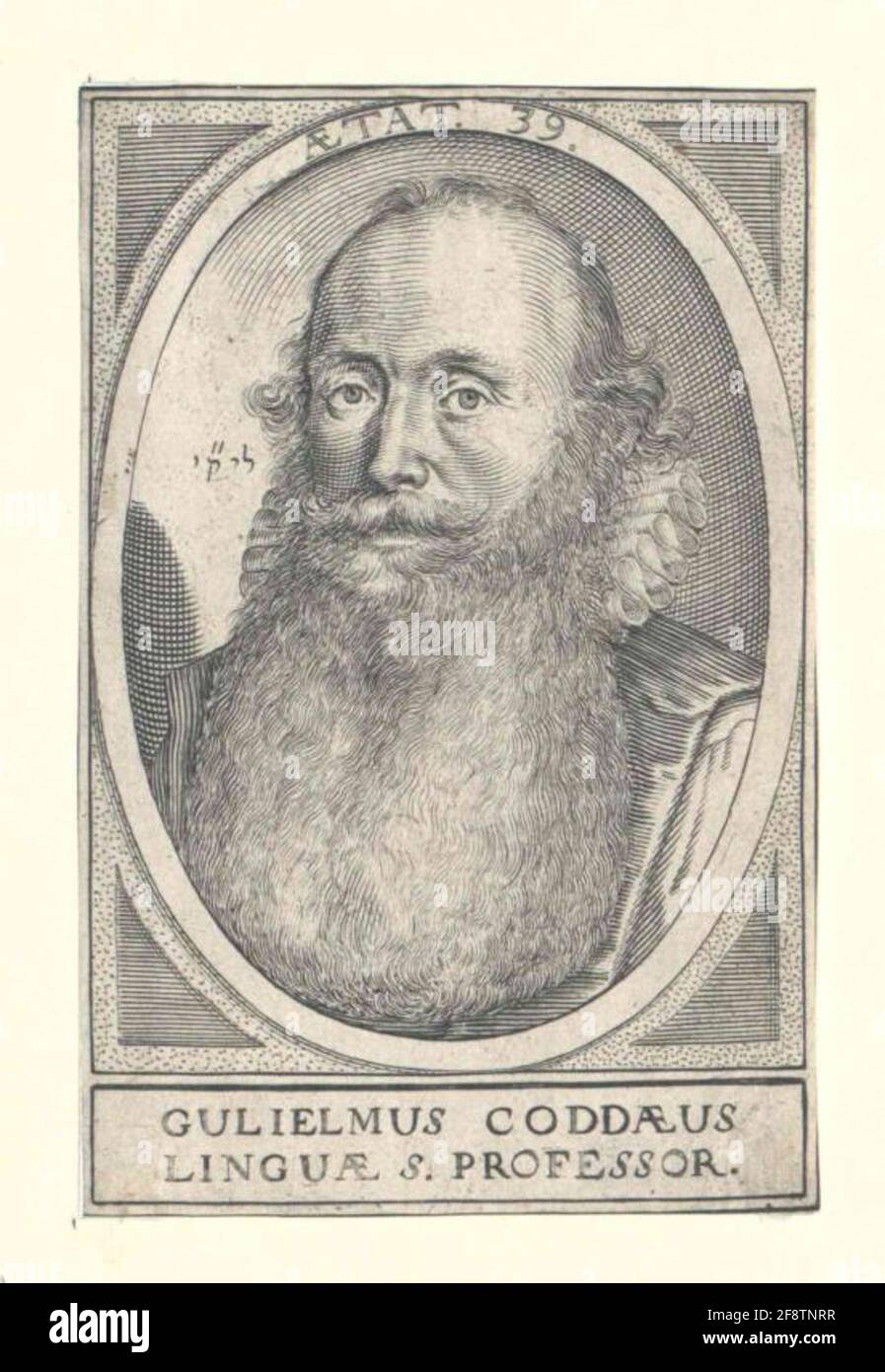 Codde, Willem van der Stock Photo - Alamy