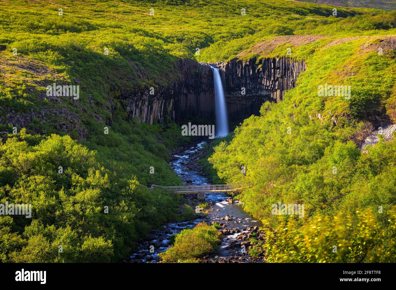 Svartifoss waterfall in Vatnajokull National Park, Iceland Stock Photo