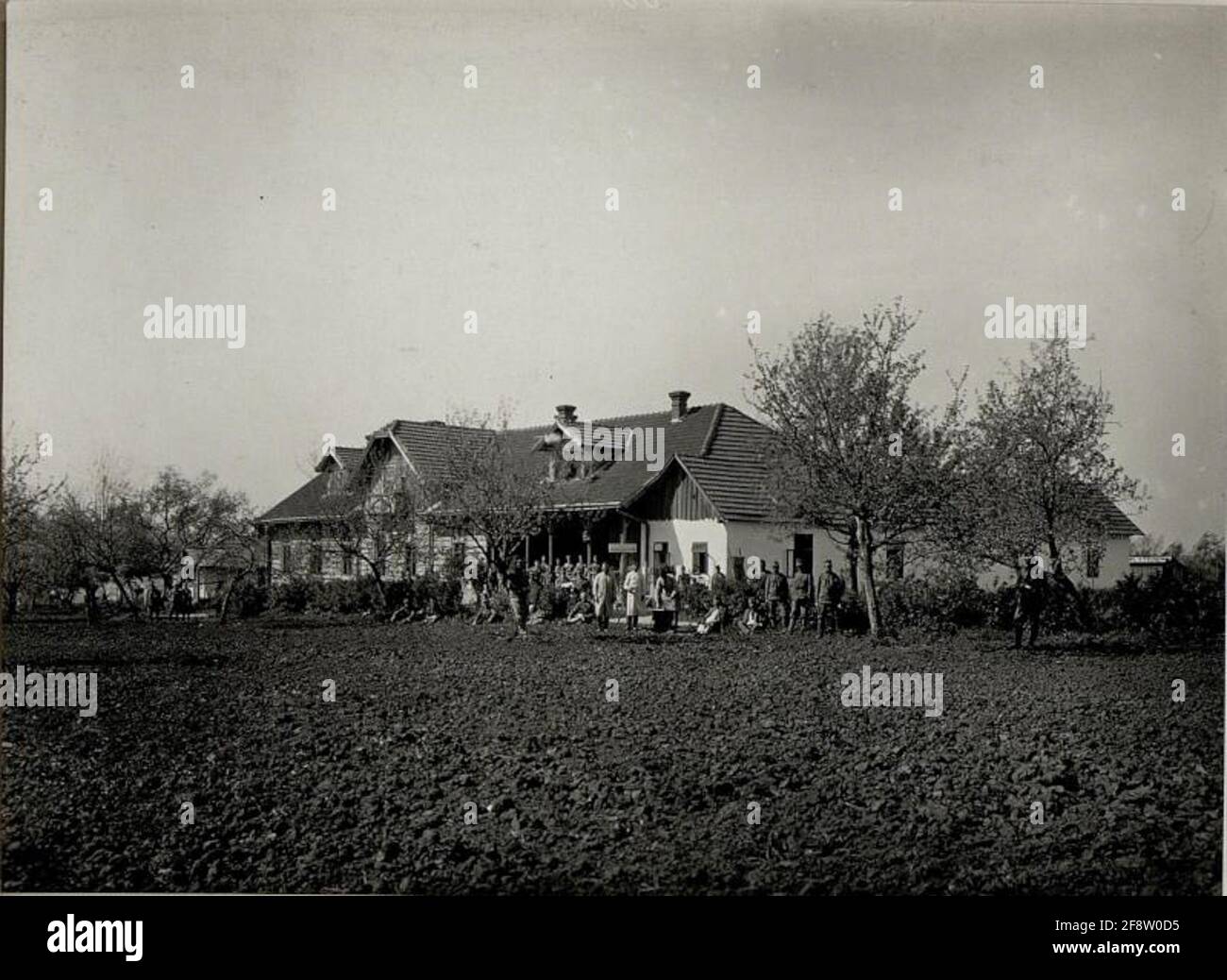 Field Major House, Surgical Dept. Oil.am 6.V.1916. Tlumacz Stock Photo -  Alamy