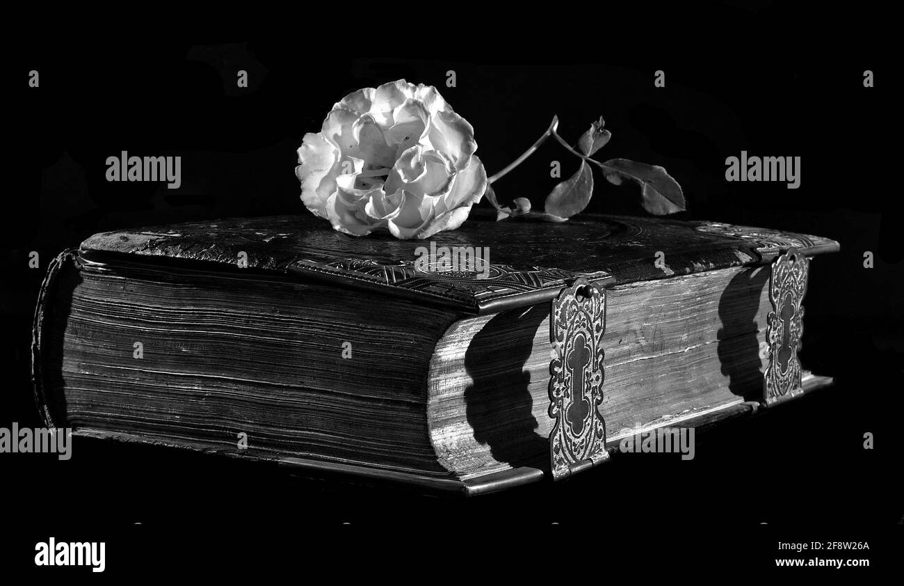 Black rose bible hi-res stock photography and images - Alamy