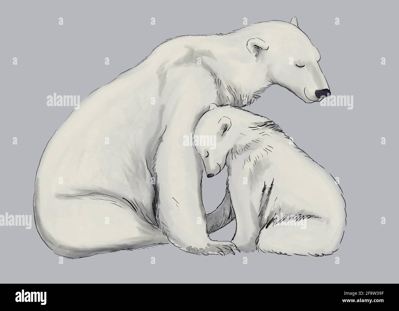 Set of bears cartoon hi-res stock photography and images - Alamy