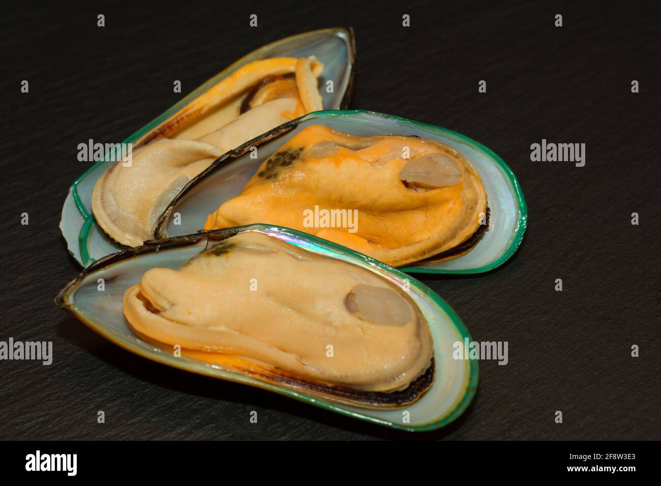 Green mussels new zealand hires stock photography and images Alamy