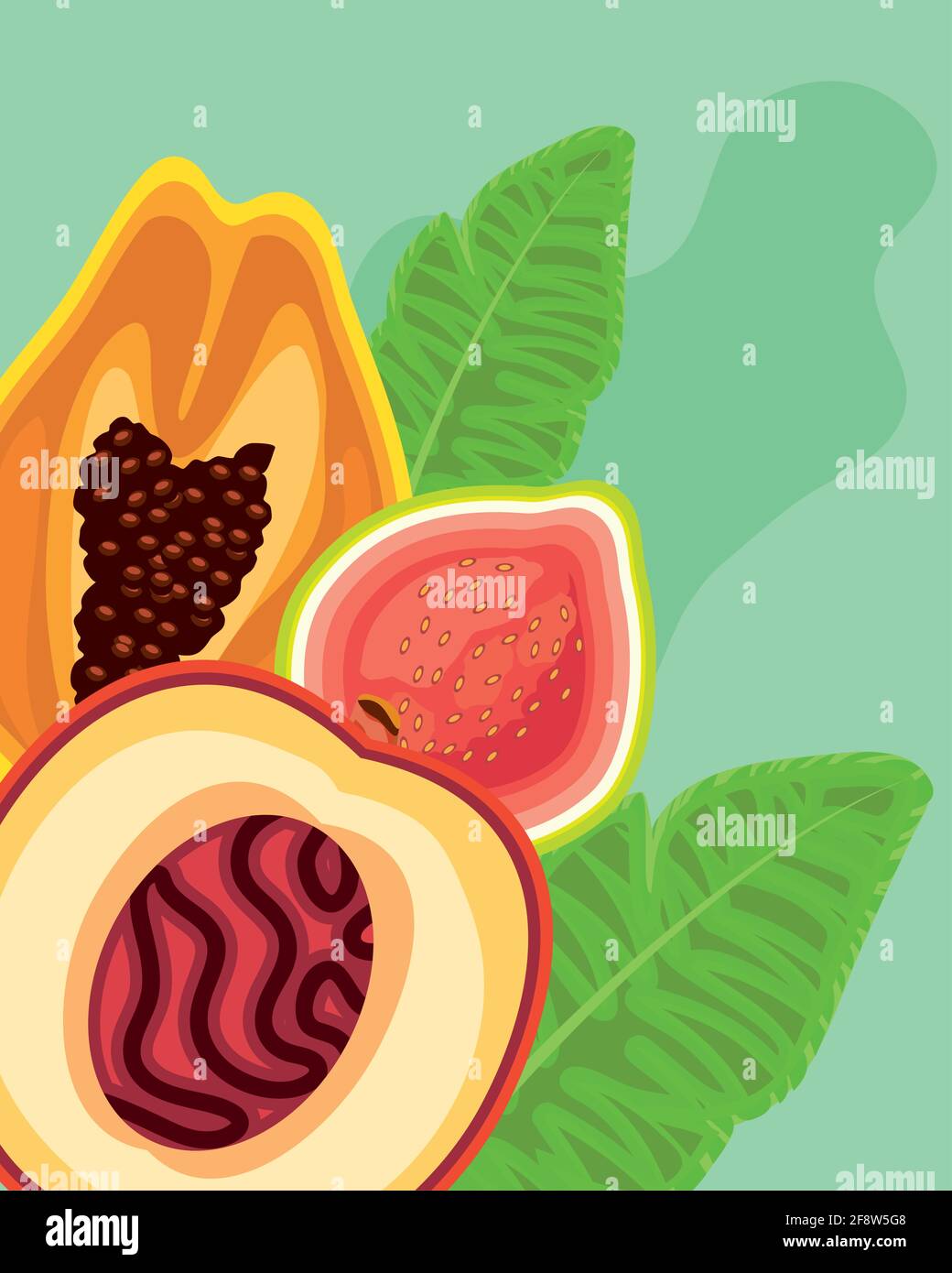 Tropical Fruits Exotics Stock Vector Image And Art Alamy