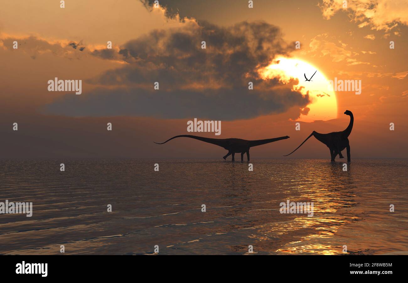 Diplodocus Sauropod Dinosaurs Cooling Off Stock Photo