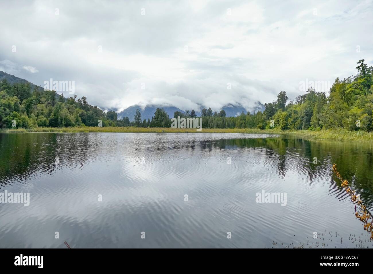 Scenery around Lake Matheson at the South Island in New Zealand Stock ...
