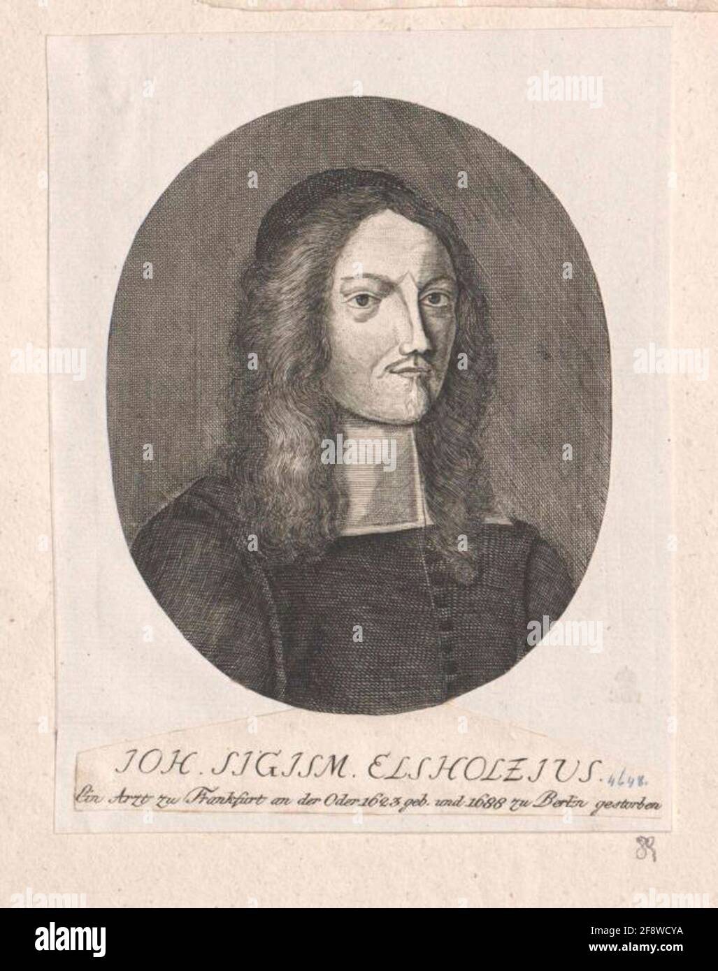 Elsholtz, Johann Sigismund Stock Photo Alamy