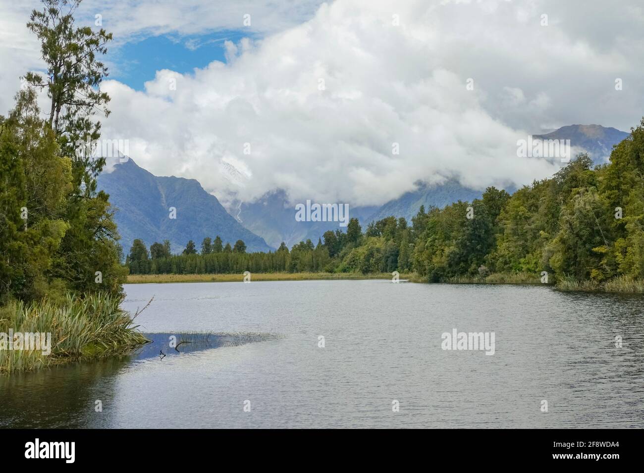 Scenery around Lake Matheson at the South Island in New Zealand Stock ...