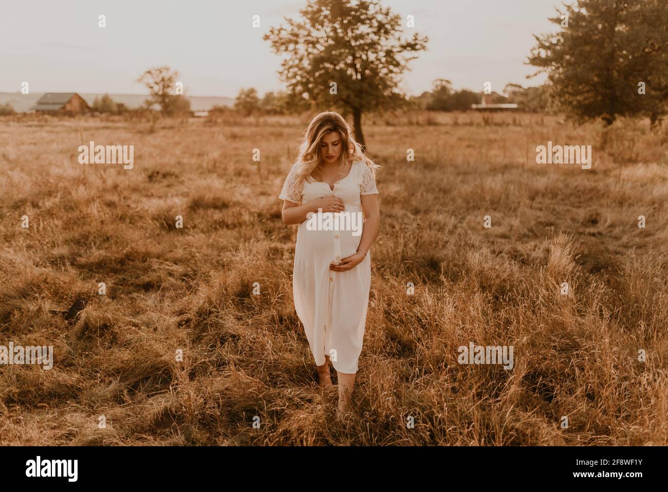 Caucasian pregnant young blonde woman in cotton white linen dress stand walking meadow on dry grass in summer at sunset nature. mother-to-be holds her Stock Photo