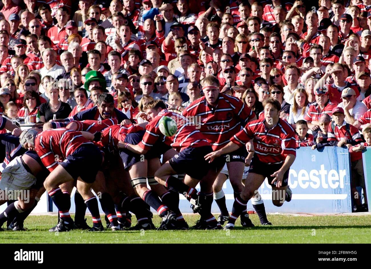 HEINEKEN CUP RUGBY GLOUCESTER V MUNSTER 12/10/2002 ANDY GOMARSALL OUT OF THE SCRUM PICTURE DAVID ASHDOWNRUGBY Stock Photo