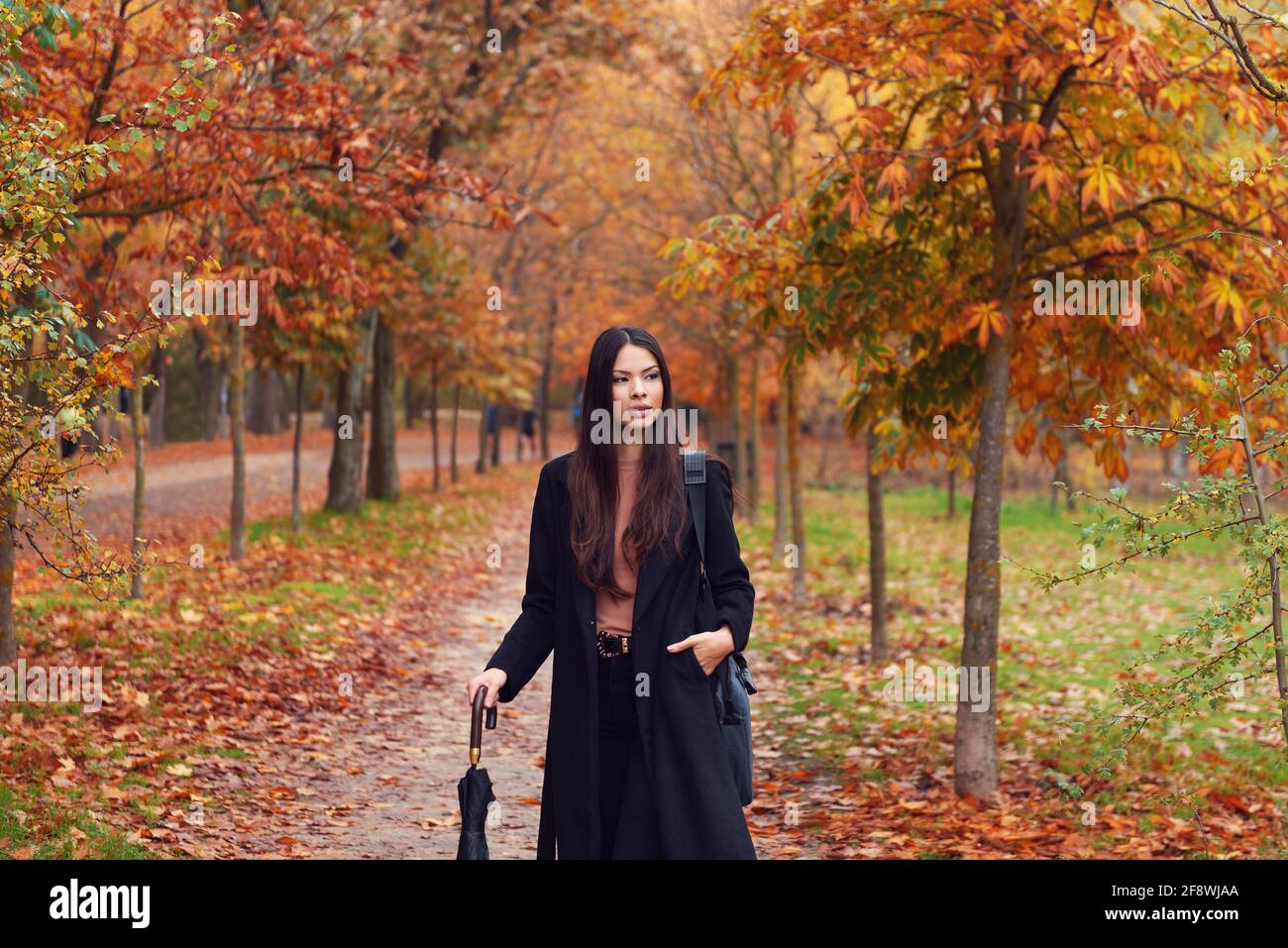 YOUNG ASIAN WOMAN PRETTY BROWN HAIR WALKS THROUGH THE FOREST IN AUTUMN ...
