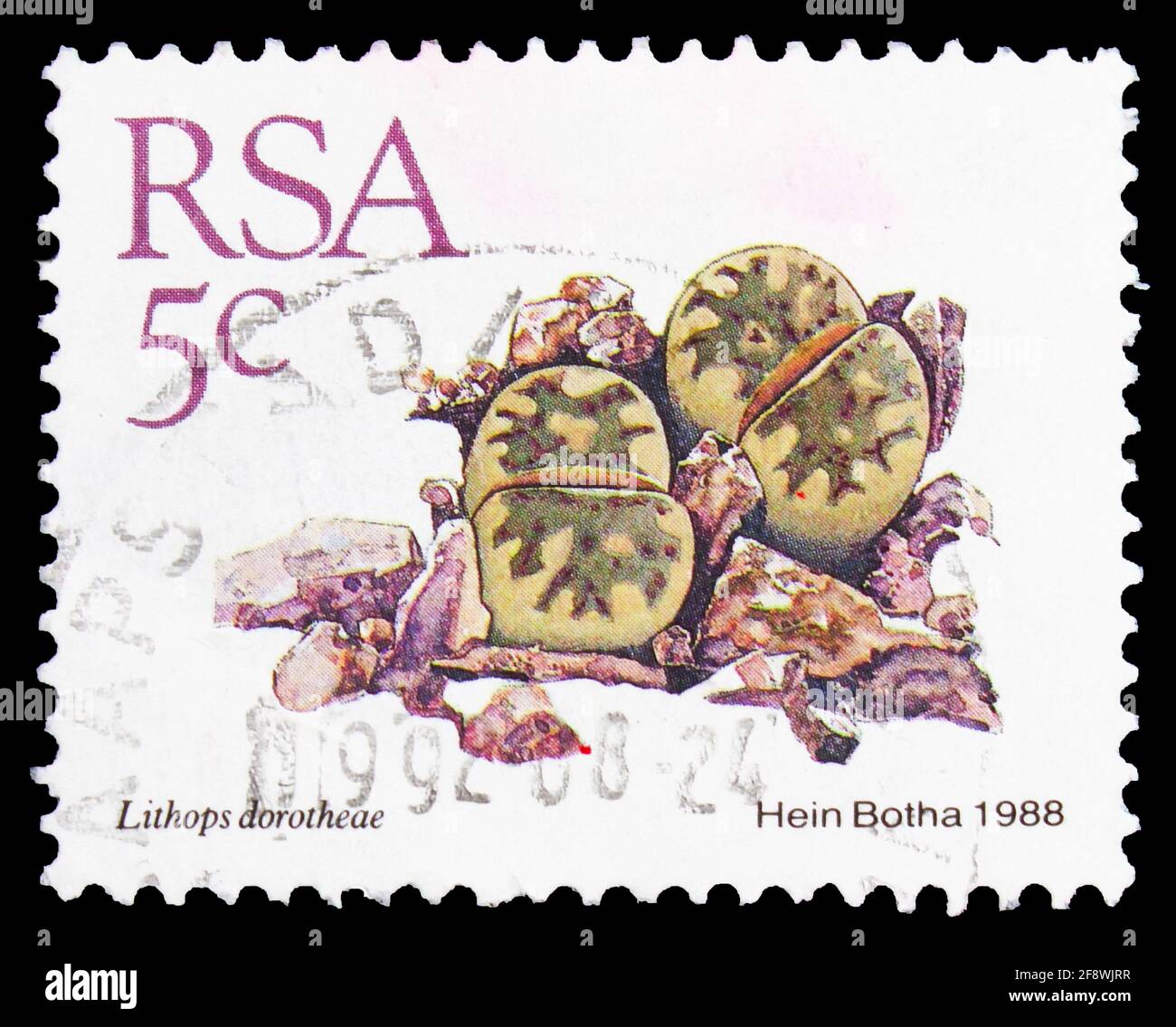 MOSCOW, RUSSIA - OCTOBER 1, 2019: Postage stamp printed in South Africa shows Lithops dorotheae, Definitive Issue - Succulents reprint, more vivid col Stock Photo