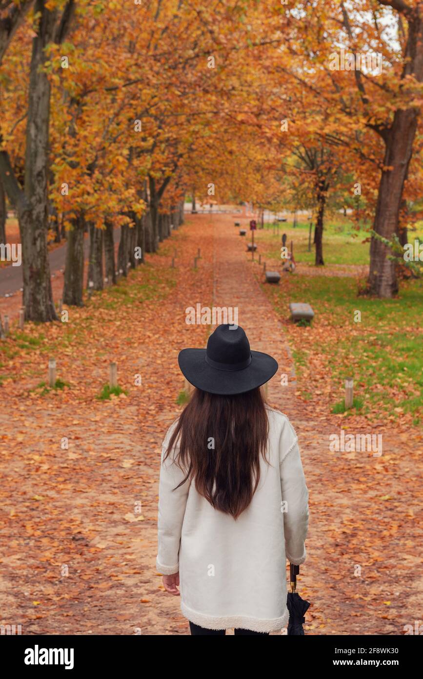 YOUNG ASIAN WOMAN PRETTY BROWN HAIR WALKS THROUGH THE FOREST IN AUTUMN ...