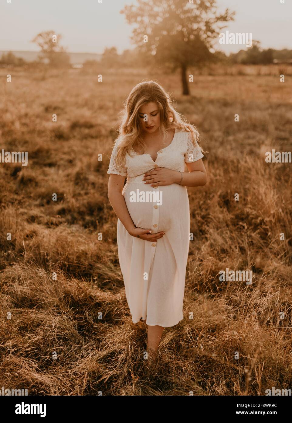 Caucasian pregnant young blonde woman in cotton white linen dress stand walking meadow on dry grass in summer at sunset nature. mother-to-be holds her Stock Photo