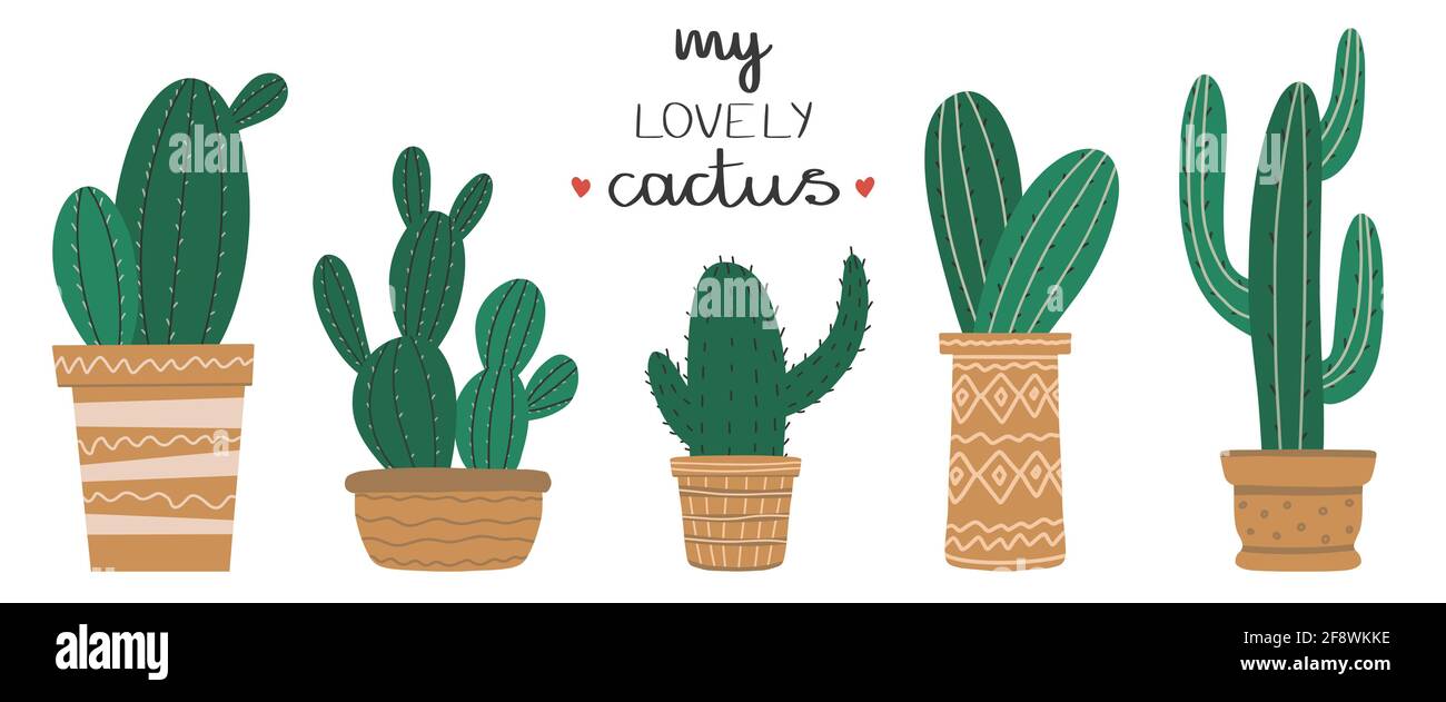 Set of cacti growing in planters isolated on white background.Bouquet ...