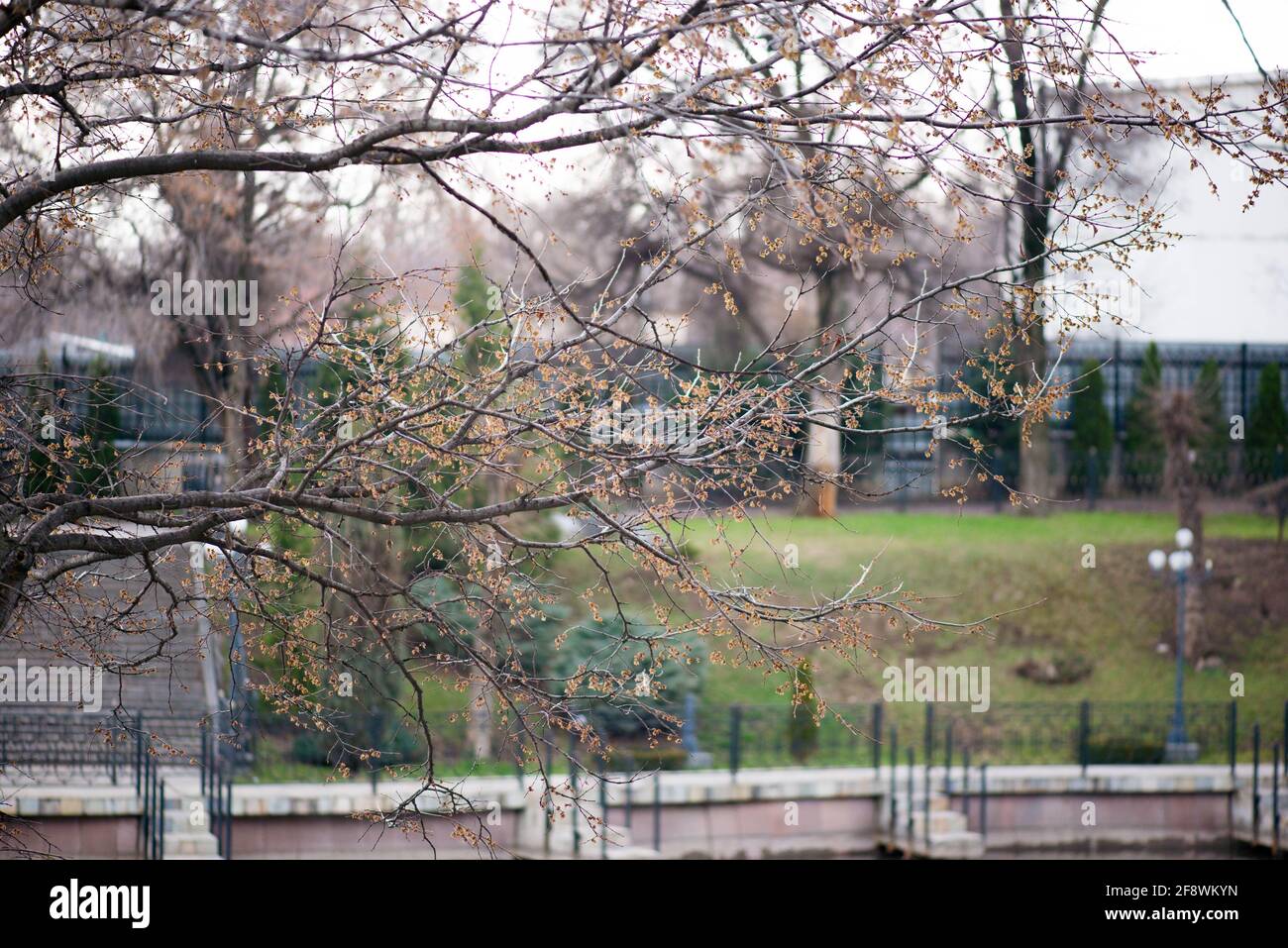 lake embankment in the city in spring Stock Photo