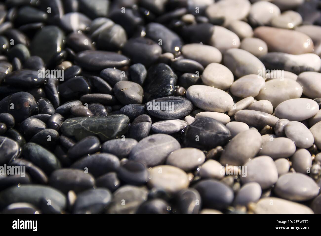 Black and white sea pebble stones on the beach Stock Photo - Alamy