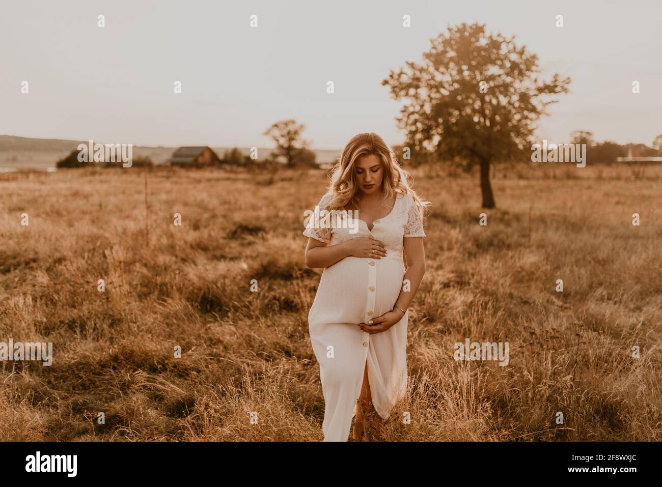 Caucasian pregnant young blonde woman in cotton white linen dress stand walking meadow on dry grass in summer at sunset nature. mother-to-be holds her Stock Photo