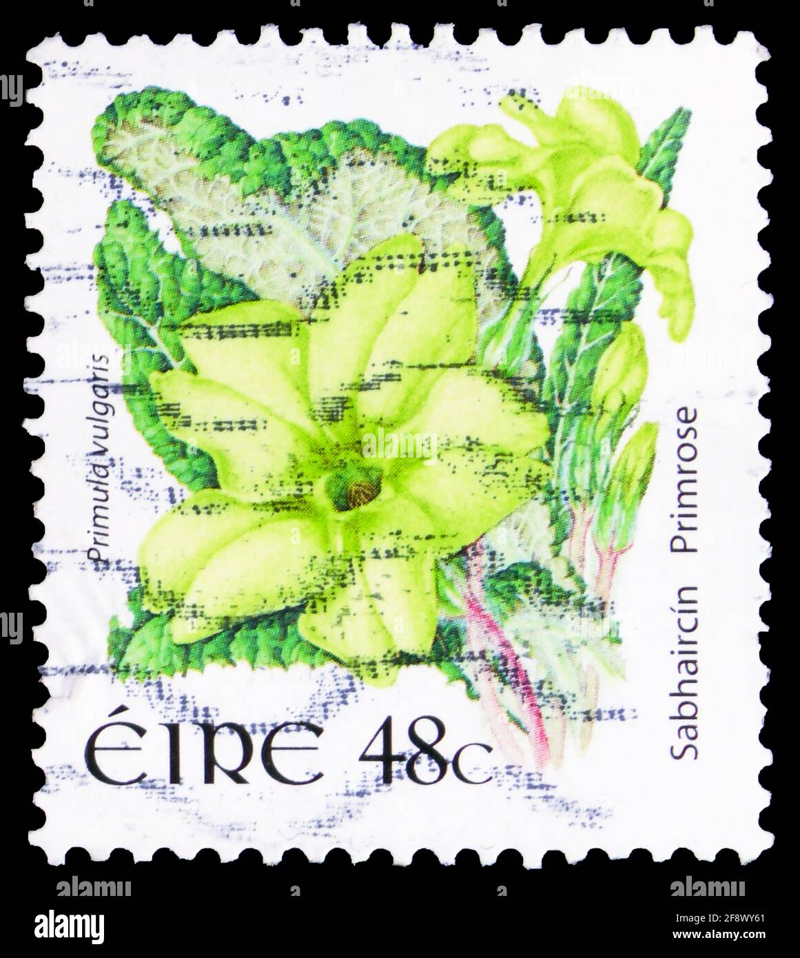 MOSCOW, RUSSIA - OCTOBER 1, 2019: Postage stamp printed in Ireland shows Primrose - Primula vulgaris, Wild Flowers Definitives serie, circa 2004 Stock Photo