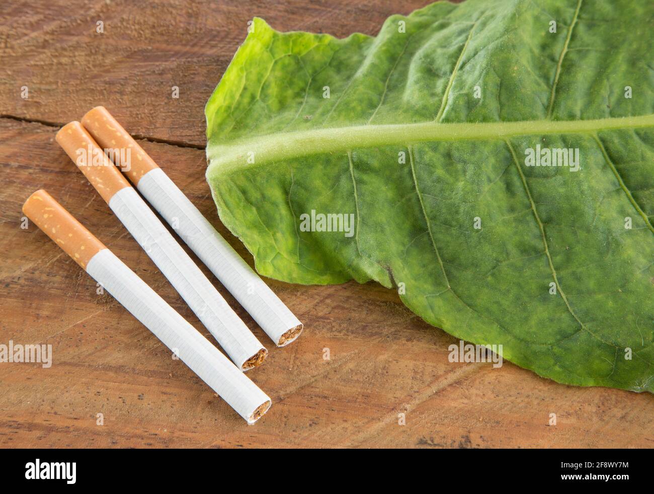 top shelf tobacco TOP SHELF TOBACCO - Updated June 2026 - 3N771 Rohlwing Rd, Addison,  Illinois - Tobacco Shops - Phone Number