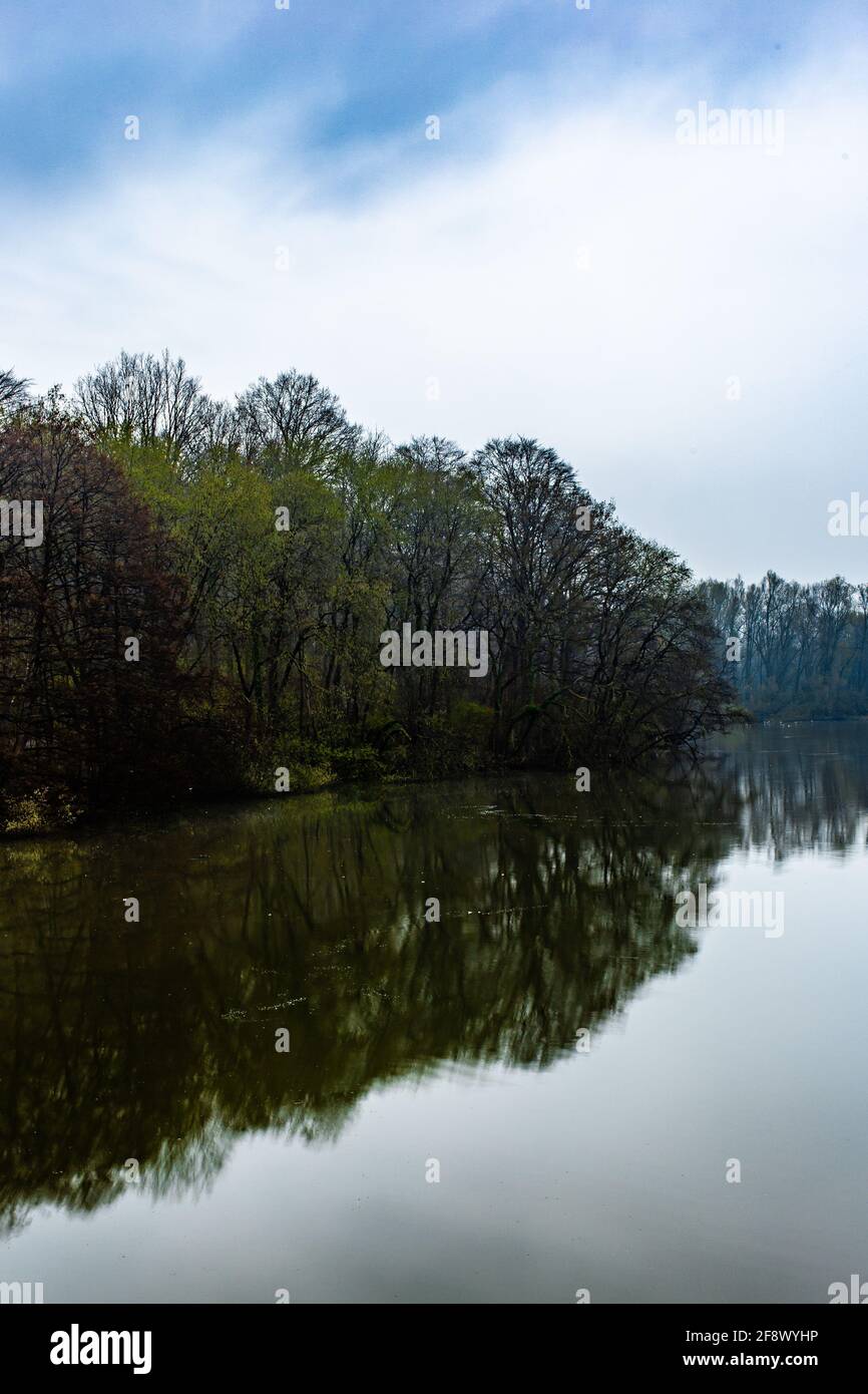 Vertical shot of a calm lake reflecting the trees under the cloudy sky ...