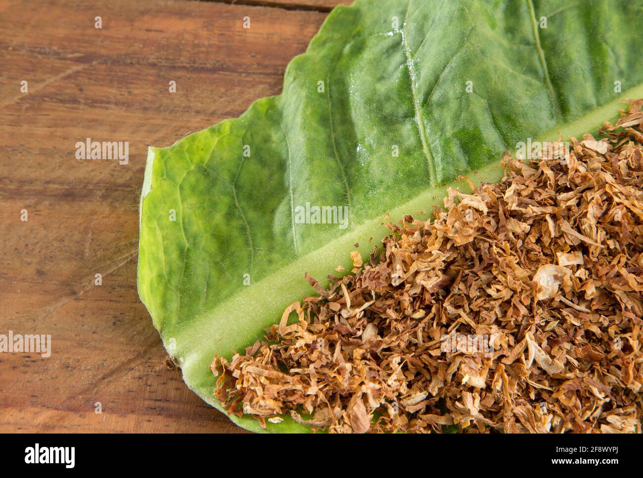 top leaf tobacco How to Choose the Best Leaves for Cigars & Cigarettes Dried Tobacco Leaf Isolated on