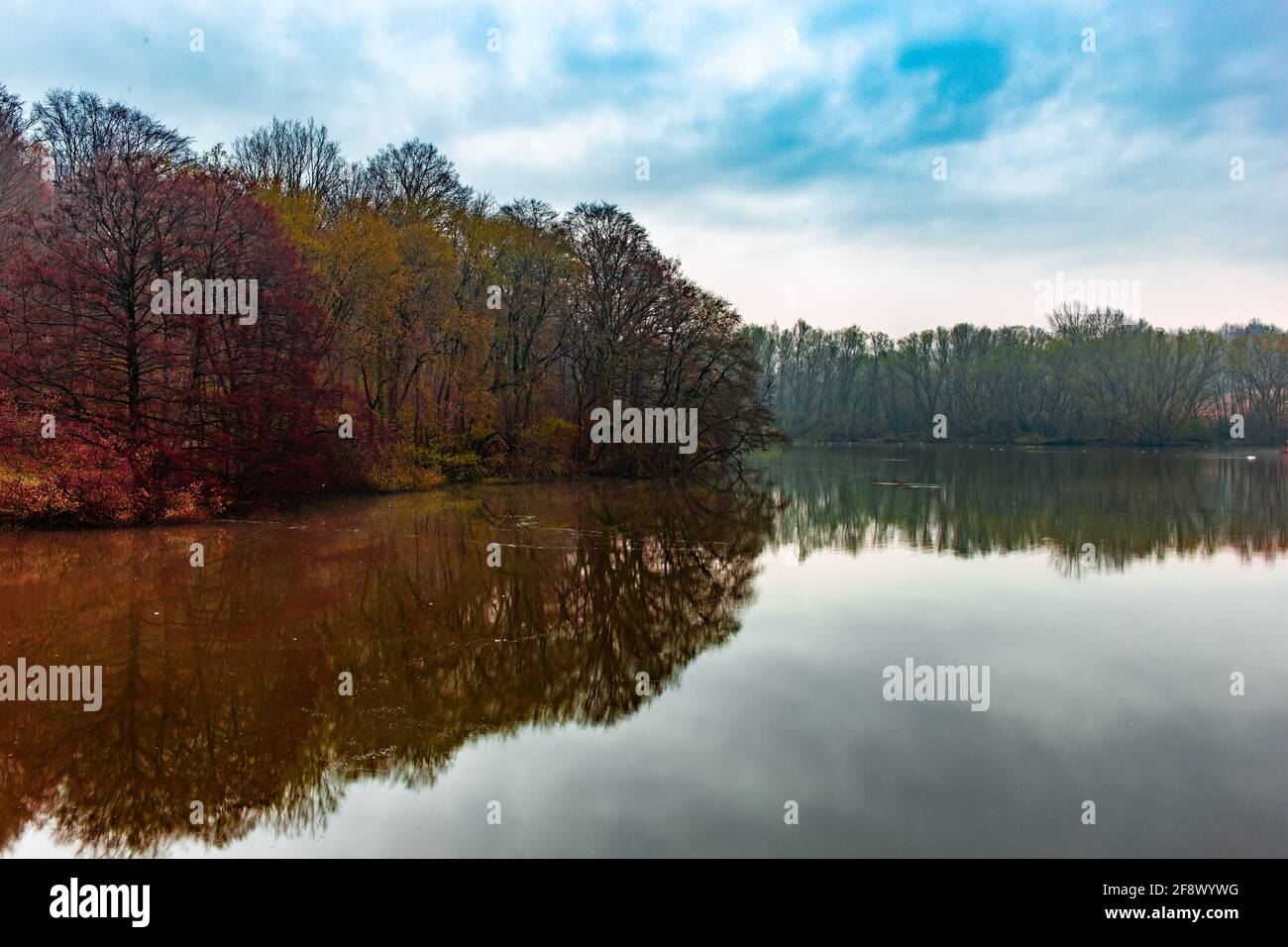 Calm lake reflecting the trees under the cloudy sky Stock Photo - Alamy