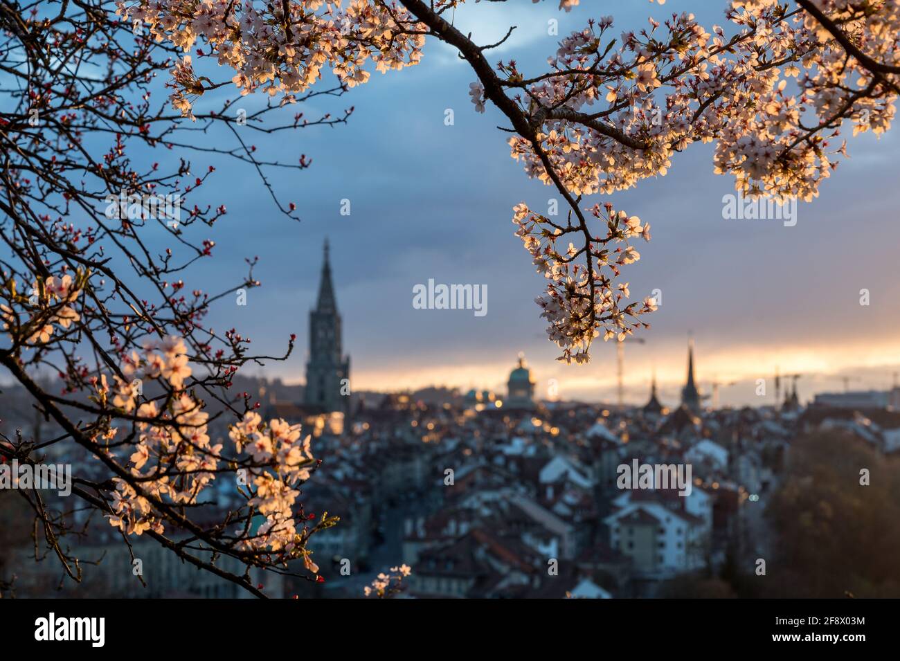 oldtown of Bern on a spring sunset Stock Photo