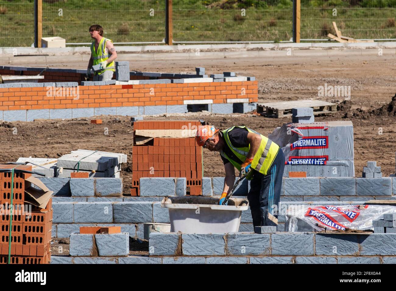 Farington Mews Beat the Stamp Duty Deadline 'The blossoms' Keepmoat