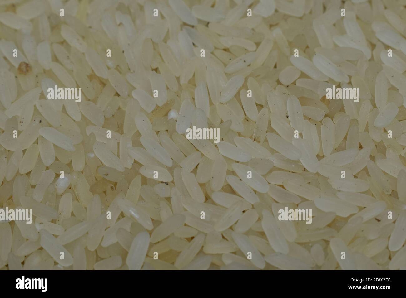 Basmati Rice Photos, Download The BEST Free Basmati Rice Stock Photos & HD  Images