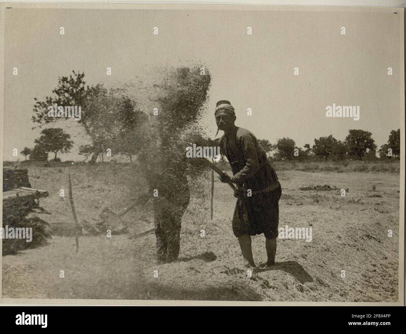 Turkish farmers in harvesting Stock Photo - Alamy