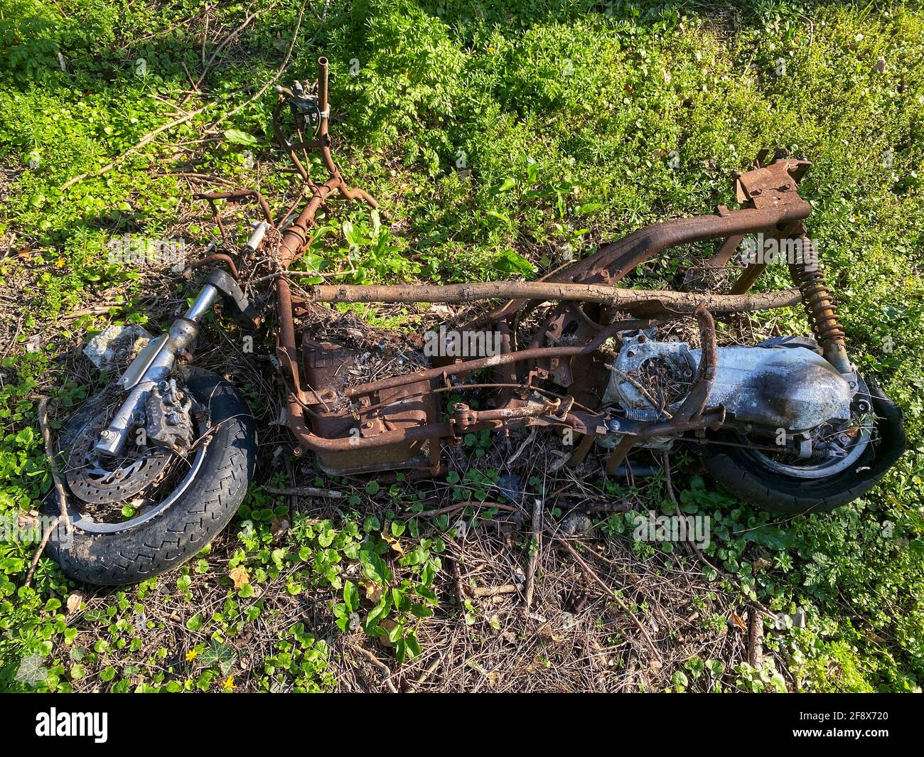 Abandoned burnt motor bike in the middle of a forest hiking trail. Stock Photo
