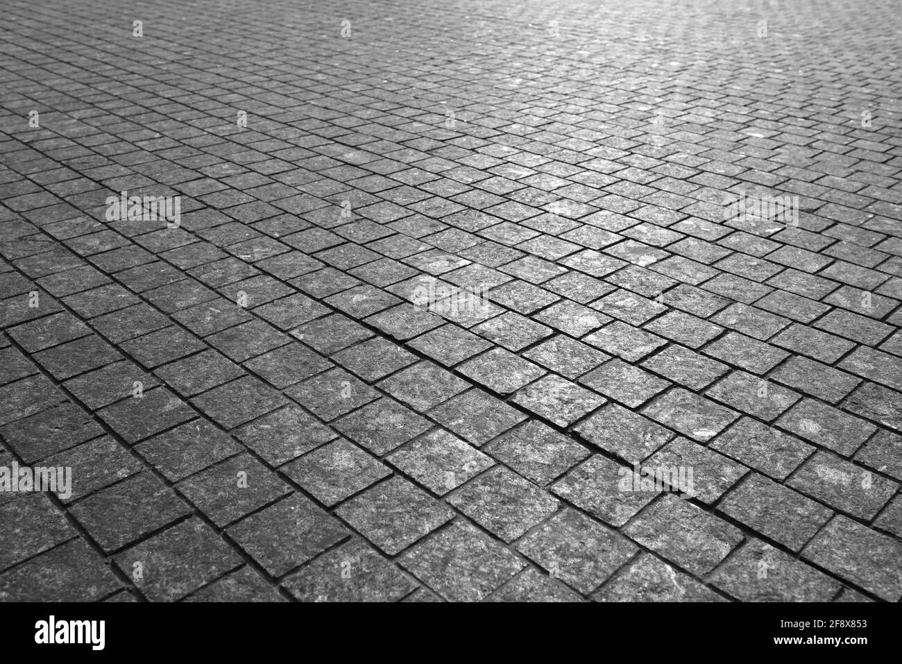 Paving stones road texture black and white. Road and square area