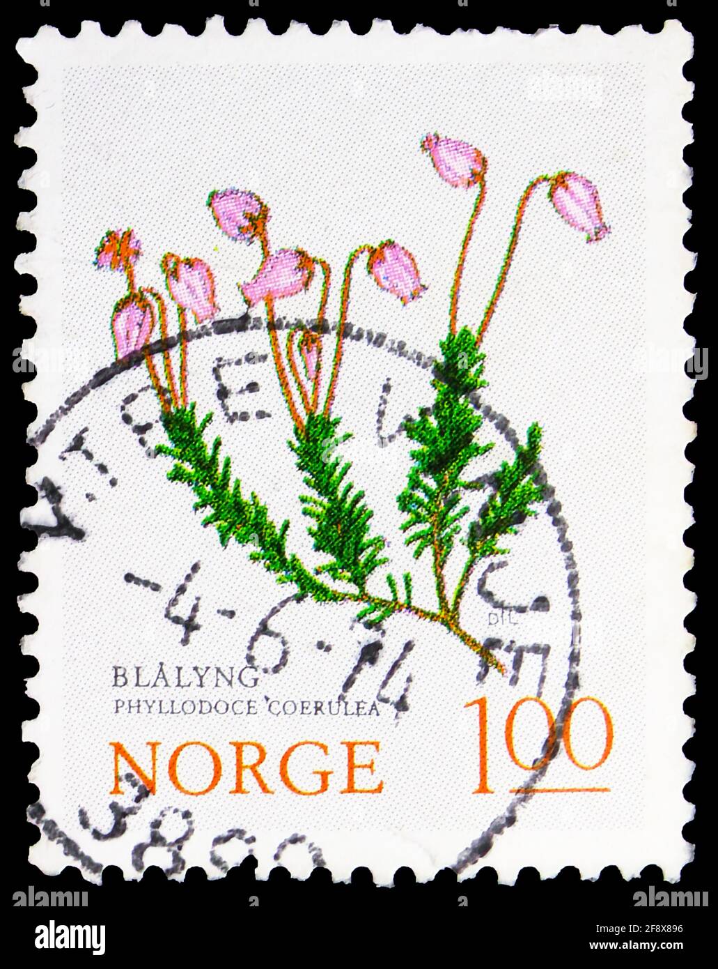 MOSCOW, RUSSIA - OCTOBER 1, 2019: Postage stamp printed in Norway shows Mountain Heath (Phyllodoce caerulea), Flowers serie, 1 kr - Norwegian krone, c Stock Photo