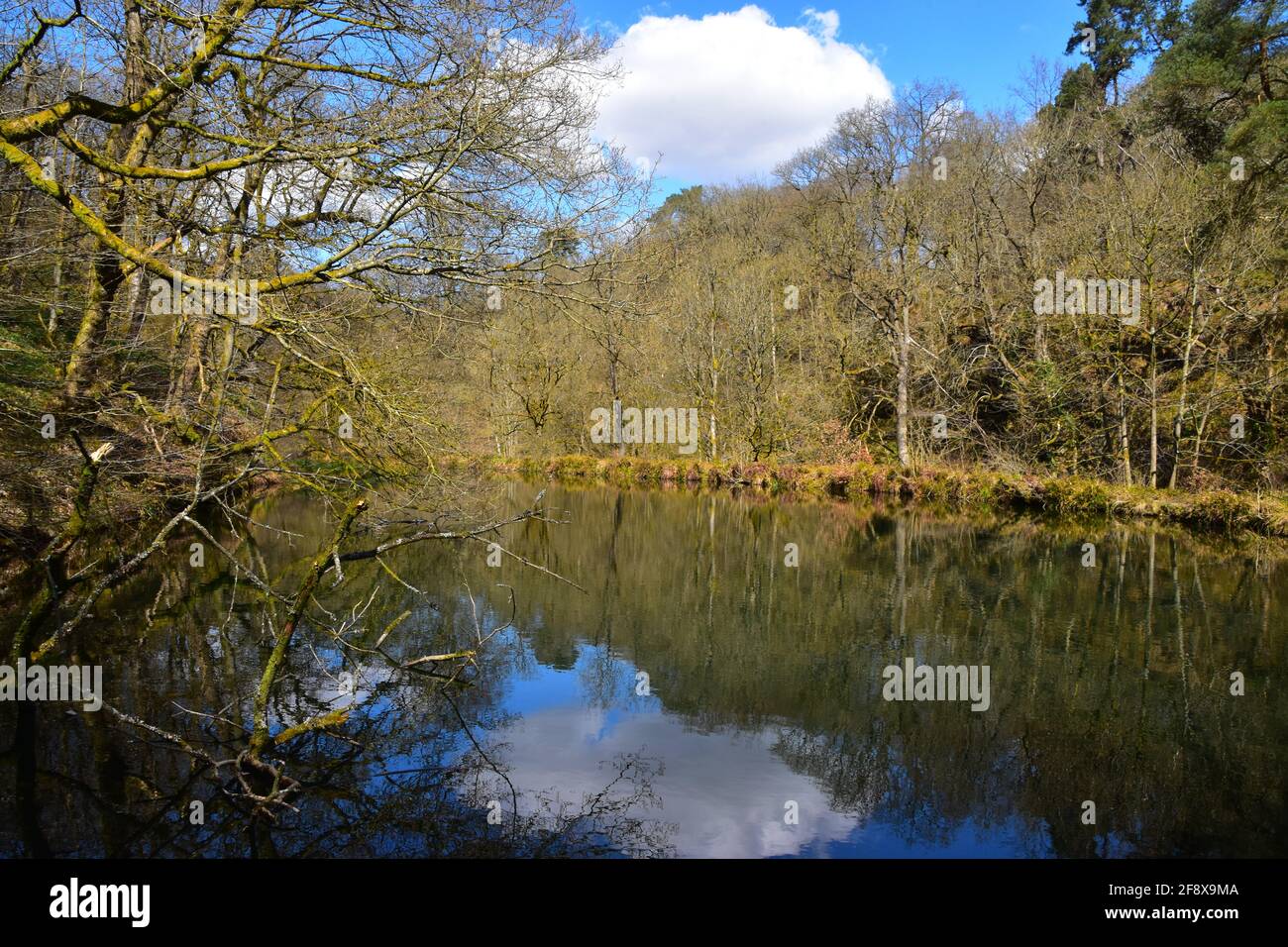 Water millpond hi res stock photography and images Alamy