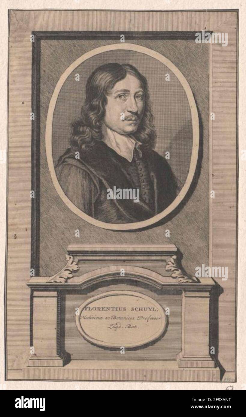 Florentius schuyl hires stock photography and images Alamy