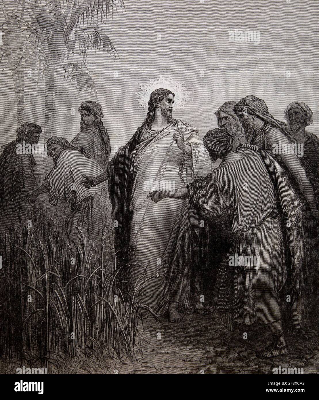 Bible Story Illustration Jesus and his Disciples in the Corn Field