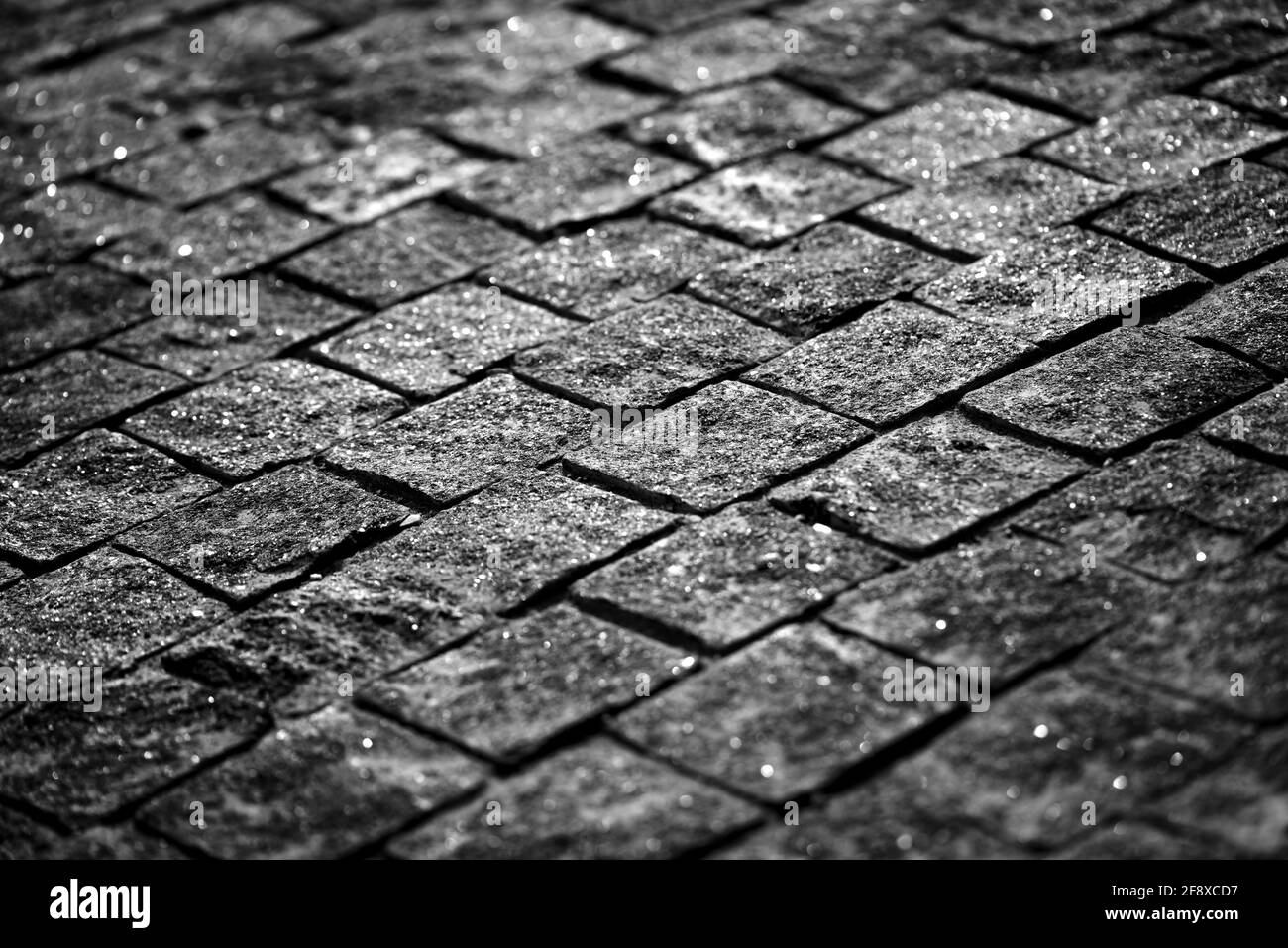 Paving stones road texture black and white. Road and square area