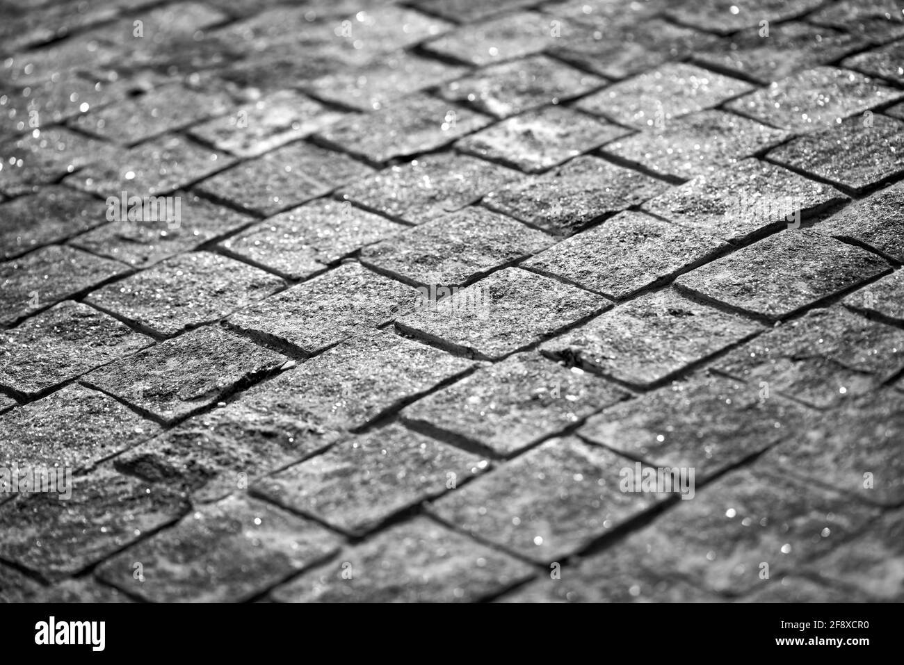 Old brick pathway Black and White Stock Photos & Images - Alamy