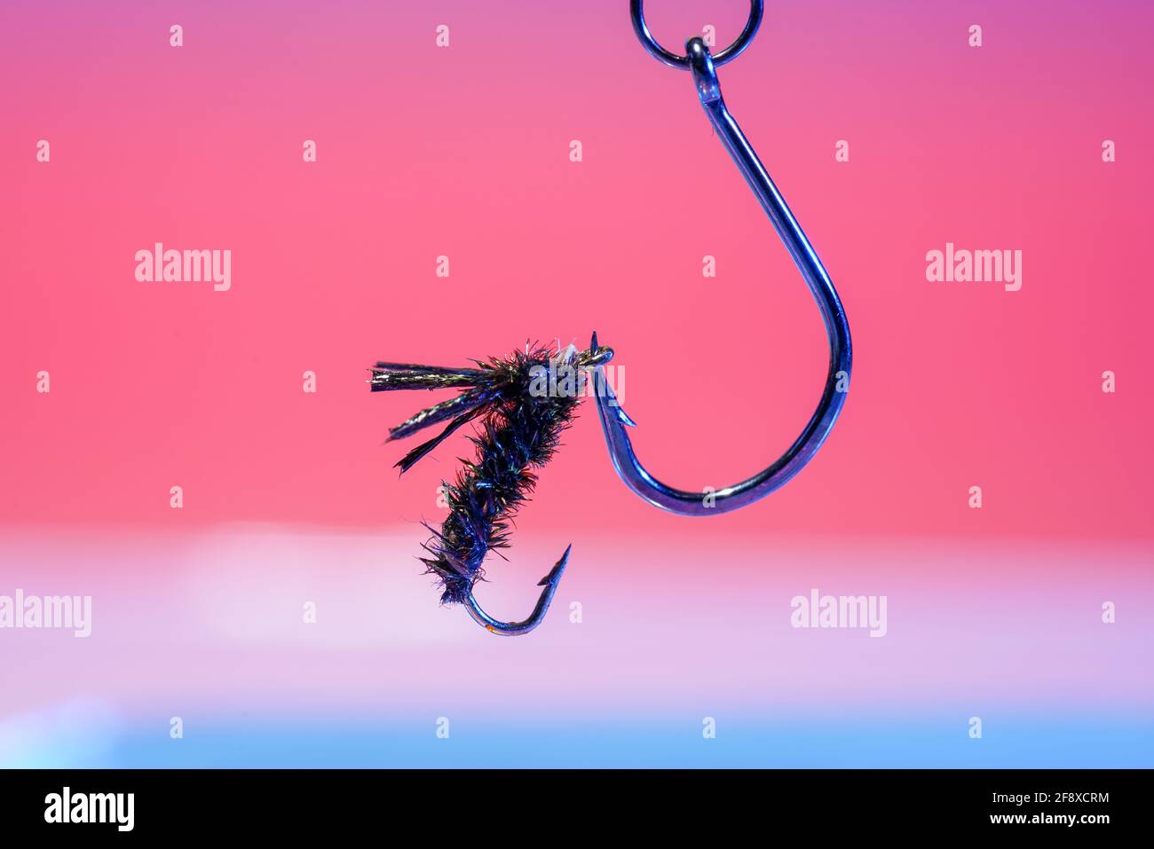 Selective focus shot of a hook Stock Photo - Alamy