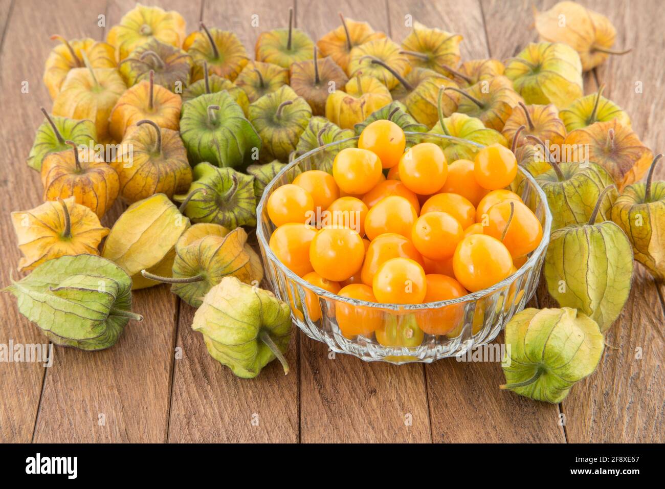 Golden berry, tropical fruit uchuva - Physalis peruviana Stock Photo