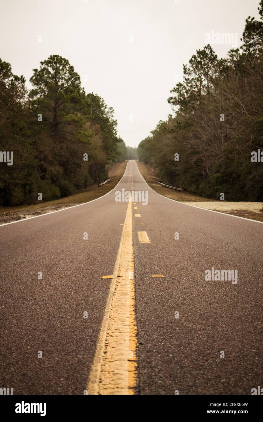 Yellow road lines with trees Stock Photo Alamy
